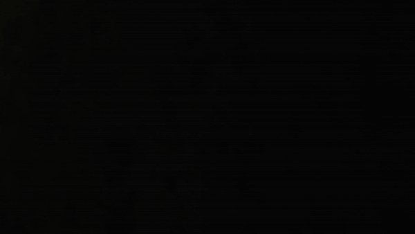 50TH ANNIVERSARY - FULL GRAPHICS KIT